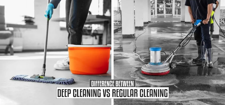 Fort myers house cleaner showing difference between deep cleaning vs regular cleaning